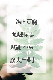 洛南豆腐 地理标志赋能 小豆腐大产业